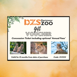 Concession Gift Voucher