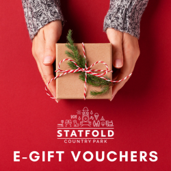 Gift Voucher