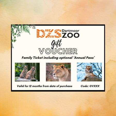 Family Gift Voucher
