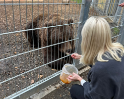 Bear Animal Experience Gift for Two People