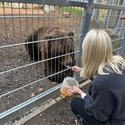 Bear Animal Experience Gift for Two People