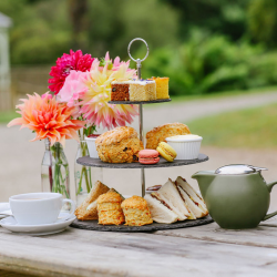 Afternoon Tea for one