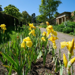 Season Ticket Holder Child Voucher