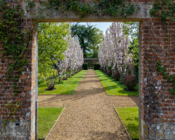 Gift Voucher - Garden Tour for one Adult (17+)
