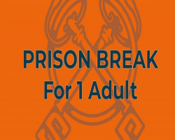 Prison Break For 1 Person