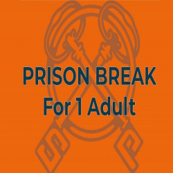 Prison Break For 1 Person