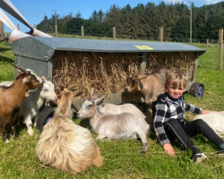 x4 for Goat Cuddles and Playtime