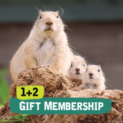 1+2 Gift Membership