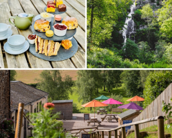 Canonteign Falls Entry and Prosecco Afternoon Tea for Two