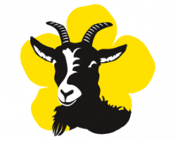 Goat Encounter Experience - Spectator