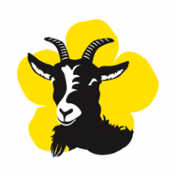 Goat Encounter Experience - Spectator