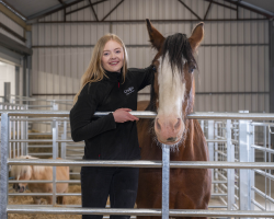 Clydesdale Experience For One (Gift Voucher)