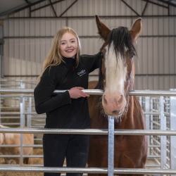 Clydesdale Experience For One (Gift Voucher)