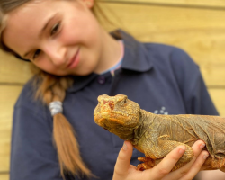 Reptile Animal Experience Gift