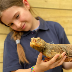 Reptile Animal Experience Gift