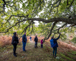 Rewilding Tour 1 Hour