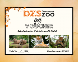 DZS 2 Adults & 1 Child Admission