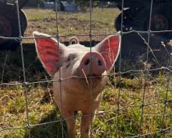 Farm Trail for the Family