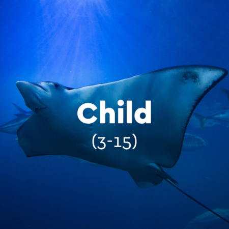 Gift Ticket - Child [3-15]
