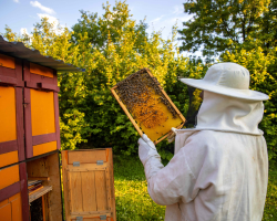 Beekeeping Experience Voucher
