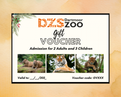 DZS 2 Adults & 3 Children Admission