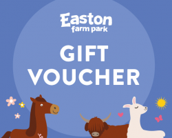 Gift Voucher