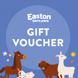 Gift Voucher