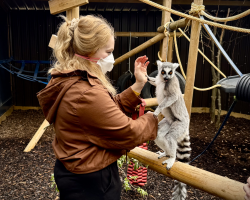 Lemur Encounter for 2 people GV
