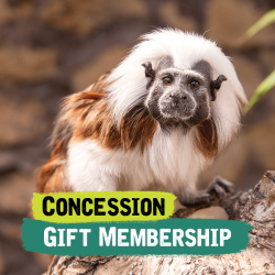 Concession Gift Membership