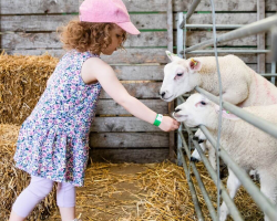 Mini Farm Keeper Experience
