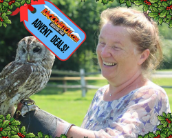 Advent Gift: OWL EXPERIENCE - 2 persons