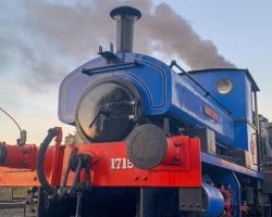 GV Day Rover - Child