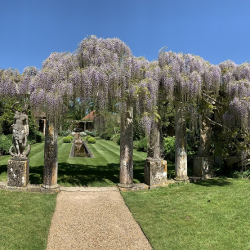 Garden Entry