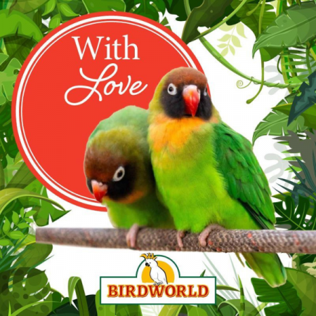 With Love - Love Birds Gift Voucher