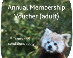 Adult Membership Gift Voucher