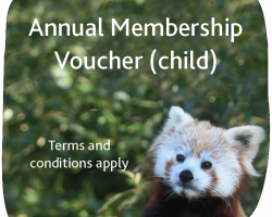 Child Membership Gift Voucher