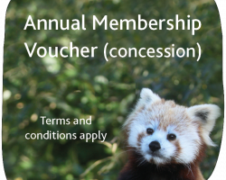 Concession Membership Gift Voucher