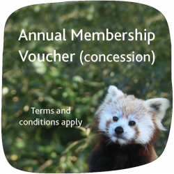 Concession Membership Gift Voucher