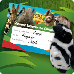 Penguin feeding experience gift voucher for one person including day entry