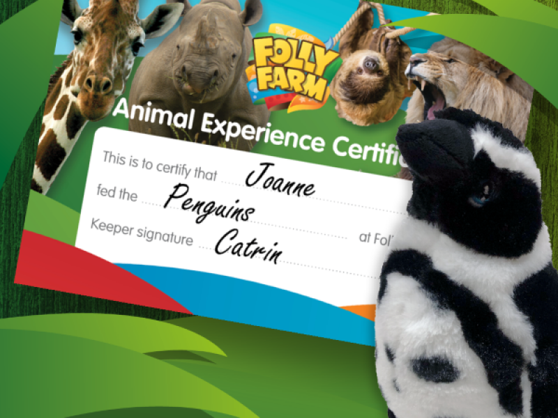 Gift Vouchers - Buy Online