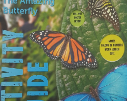Amazing Butterfly Activity Guide