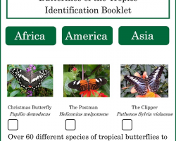 Tropical Butterfly Identification Booklet