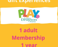 1 Adult PLAY@ Membership  Voucher, 1 year
