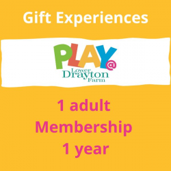 1 Adult PLAY@ Membership  Voucher, 1 year