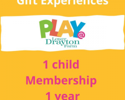 1 child PLAY@ membership voucher, 1 year