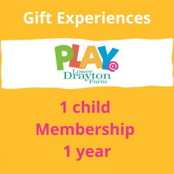 1 child PLAY@ membership voucher, 1 year