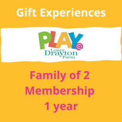 Family of 2 PLAY@ Membership Voucher, 1 year