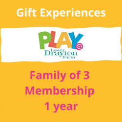 Family of 3 PLAY@ Membership Voucher, 1 year