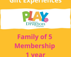 Family of 5 PLAY@ Membership Voucher, 1 year