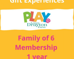 Family of 6 PLAY@ Membership Voucher, 1 year